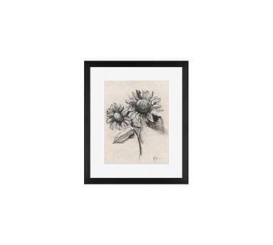 SUNFLOWERS AND FRUITS DRAWN CHARCOAL SOFT PASTEL PRINT ON FRAMED CANVAS DECOR 