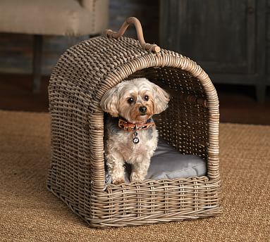 dog bed with canopy