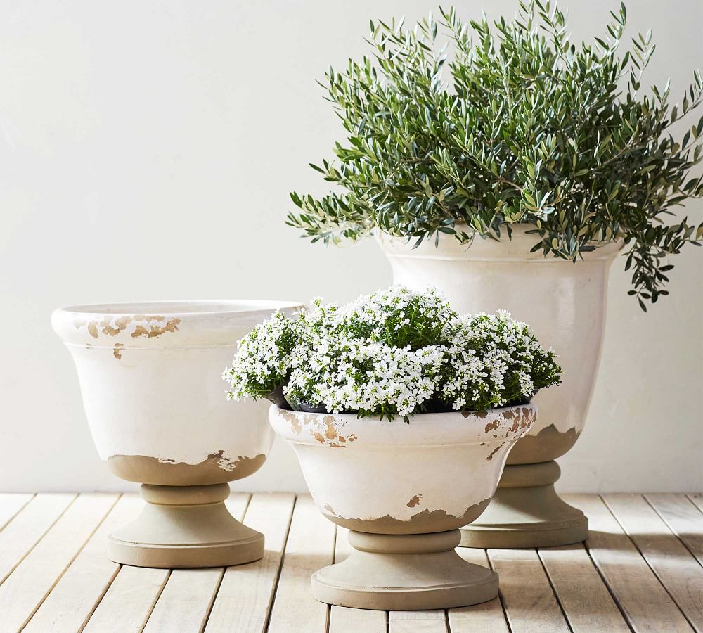 Tuscan Planters Pottery Barn