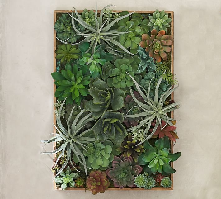 Faux Succulent Wall Art, Green - Large
