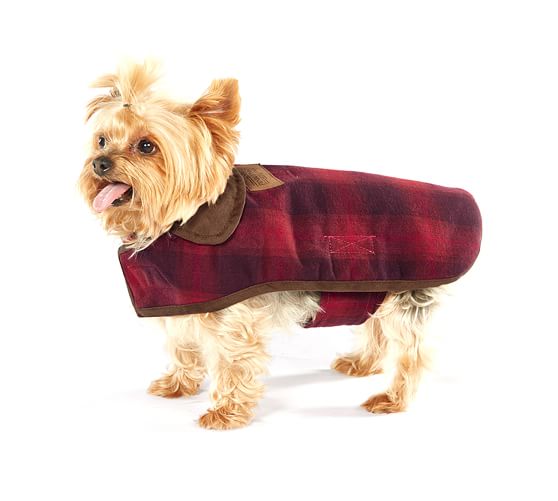 dog coat red