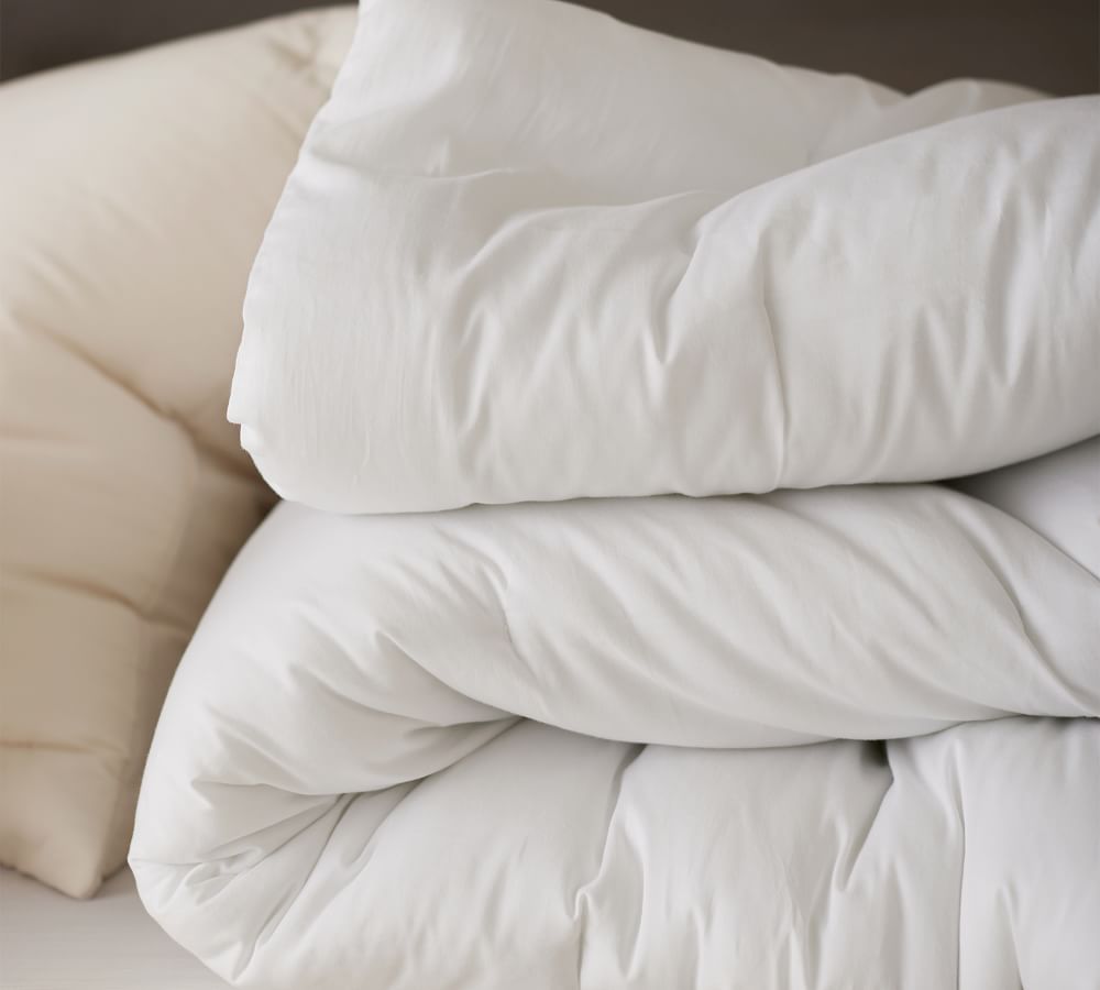 Dream Brushed Cotton Comforter | Pottery Barn