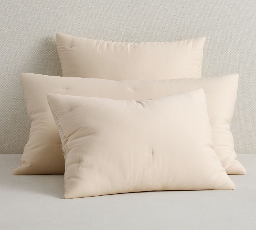Dream Brushed Cotton Comforter Sham Pottery Barn