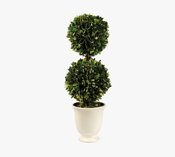 Preserved Boxwood Double Sphere Topiary Tree In White Pot