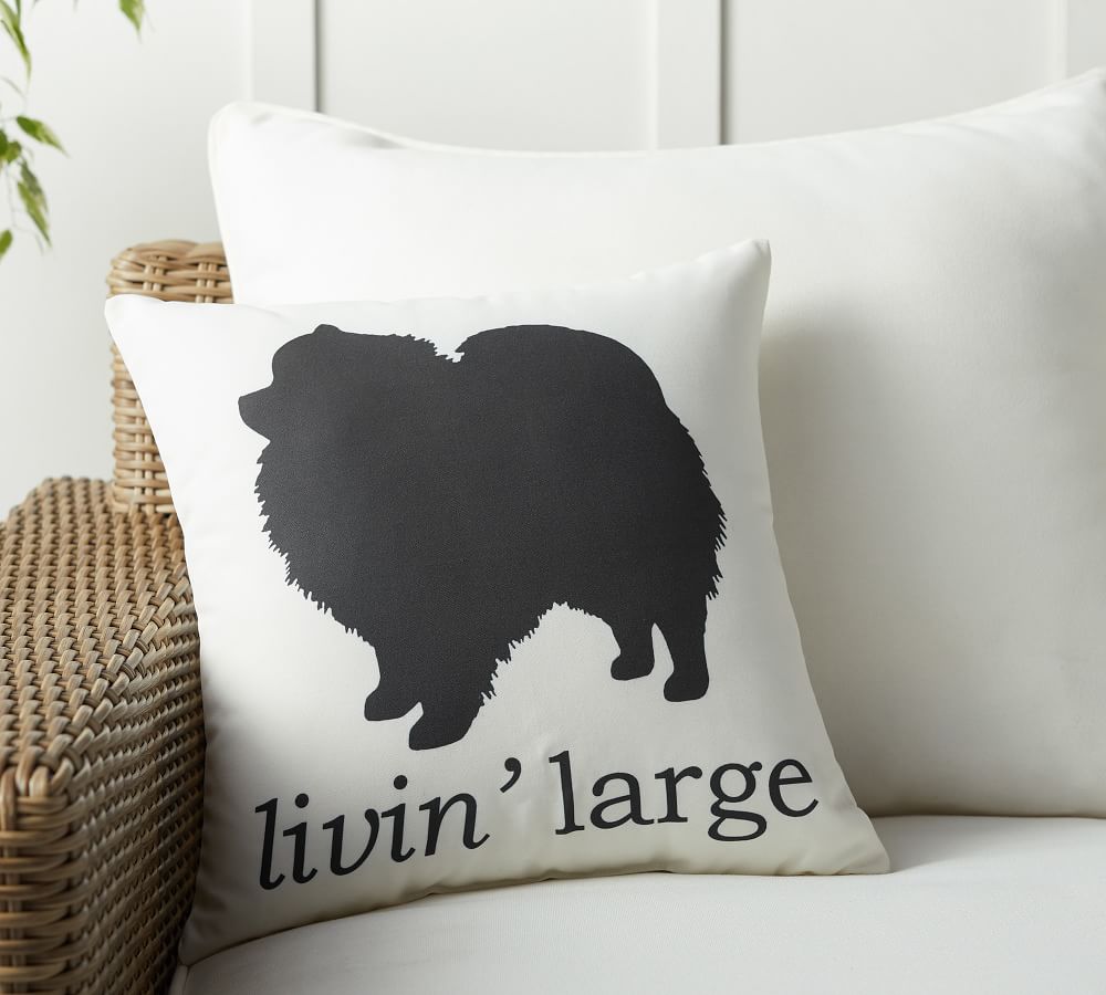 pottery barn dog pillow