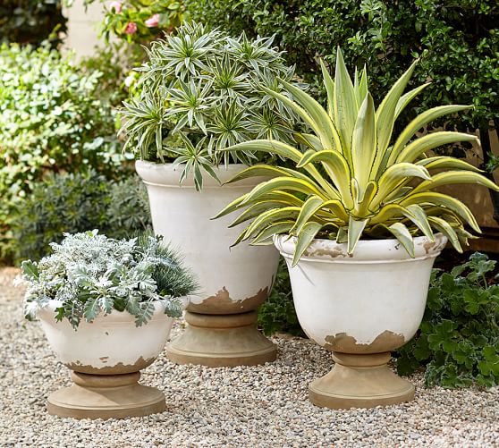 Tuscan Planters Pottery Barn, Pottery Barn Planters Outdoors