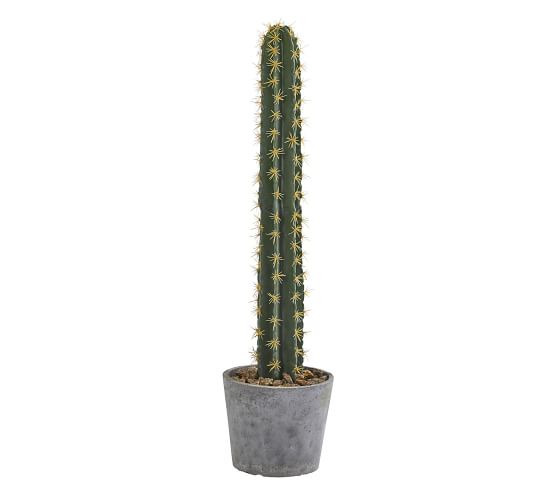 SONOMA Small GREEN WOOD Artificial CACTUS DECORATION Southwest TABLE TOP DECOR