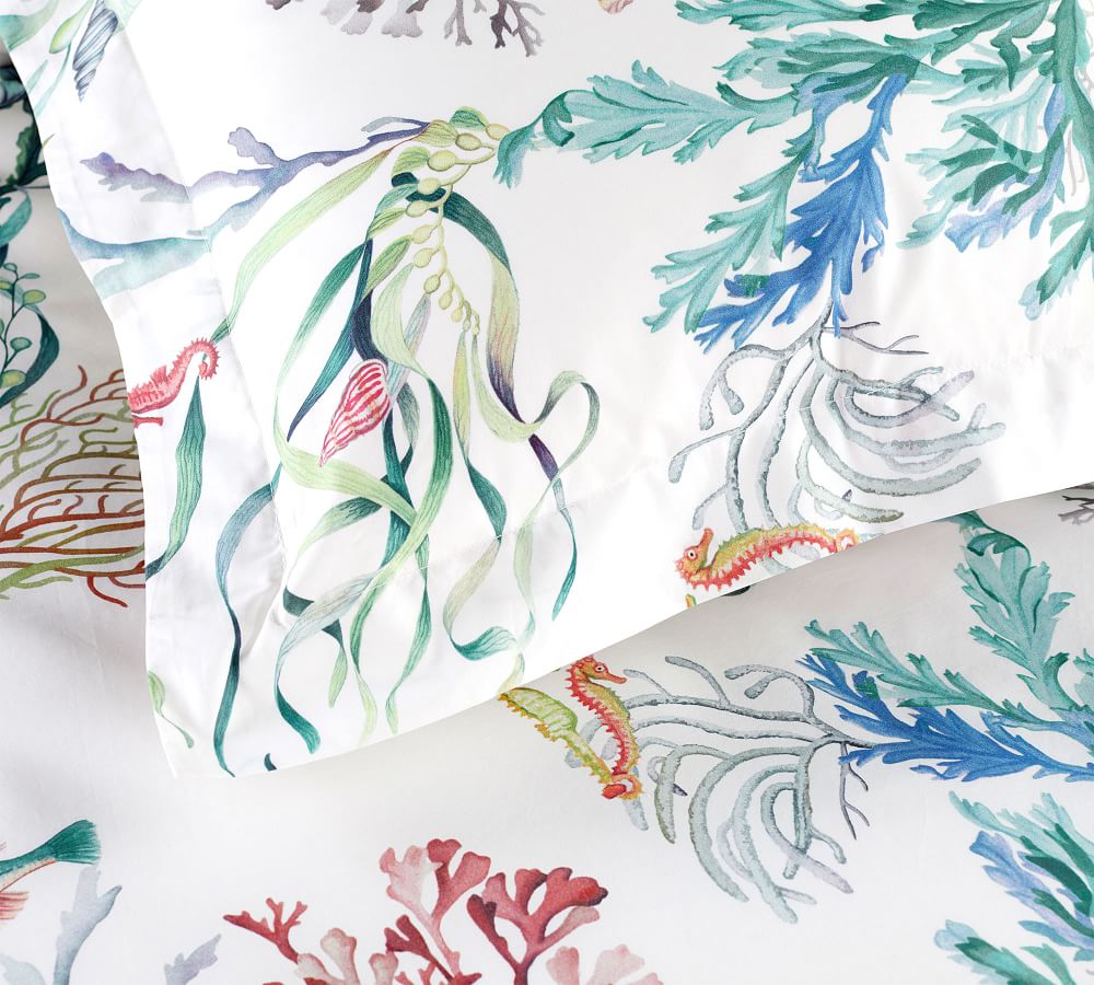 OPEN BOX Fisher Coastal Organic Percale Sham Pottery Barn