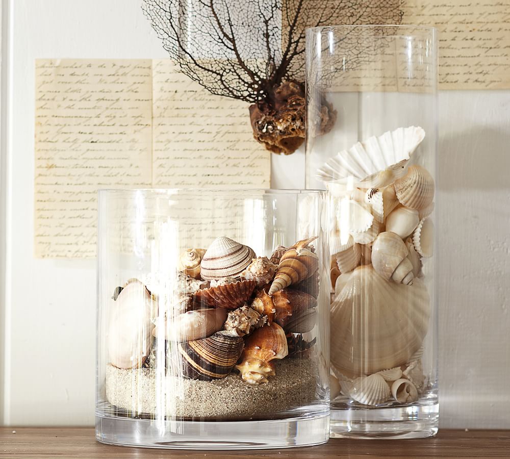 SEASHELLS Home Decor Decorative Accents Arts & Crafts Vase Fillers NEW 