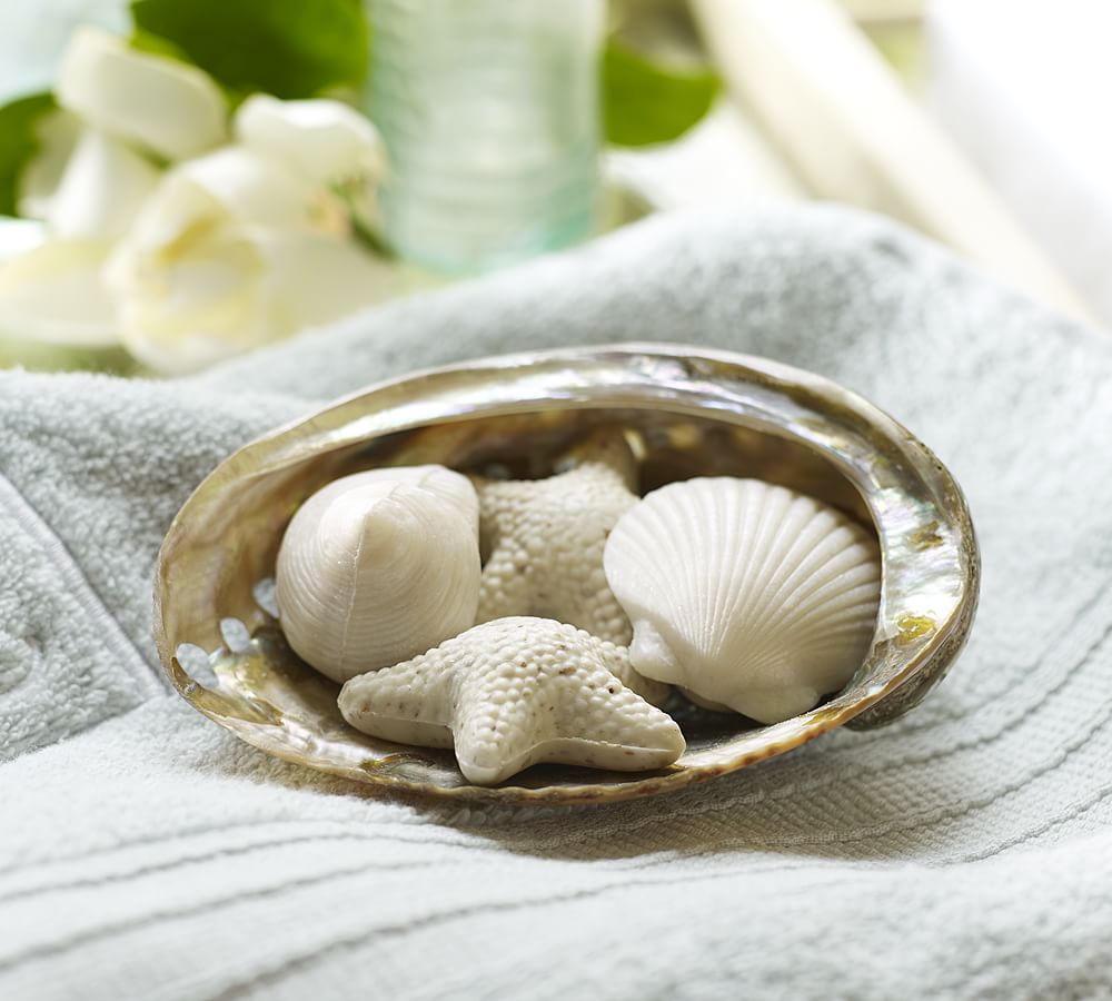 Seashell Soap & Dish Set Pottery Barn