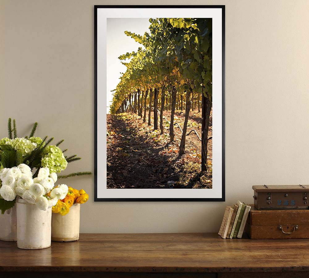 In the Vineyard Framed Print by Ana V Ramirez Pottery Barn
