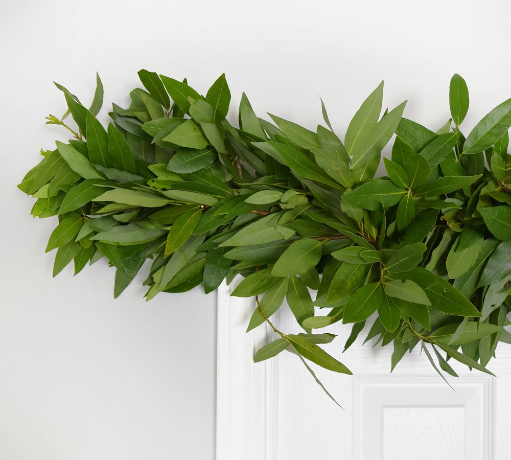 Fresh Bay Leaf Garland | Pottery Barn