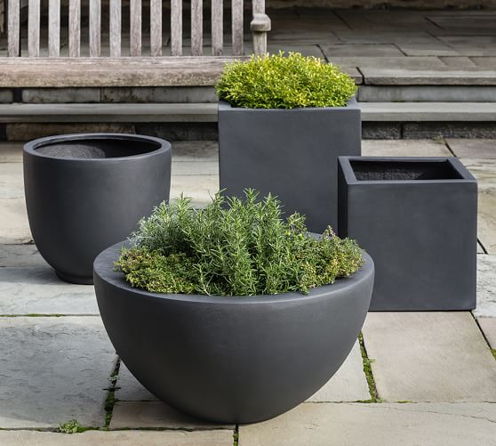Linde Planter Collection | Pottery Barn