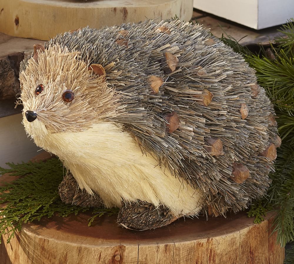 Hedgehog Woodland Creature Pottery Barn