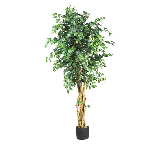 Faux Potted Palace Style Ficus Tree