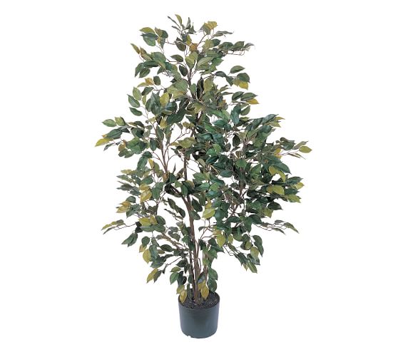 Faux Potted Ficus Tree