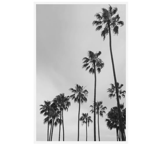 Los Angeles Palm Trees By Jane Wilder