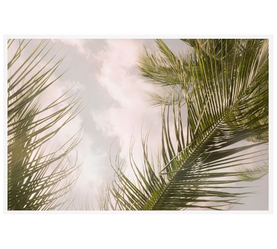 Airy Palm Tree by Jane Wilder