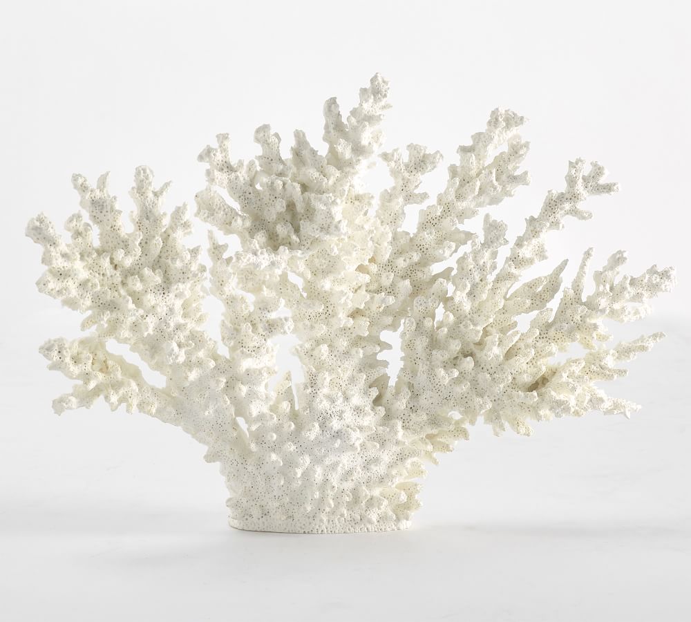 White Spike Coral | Pottery Barn