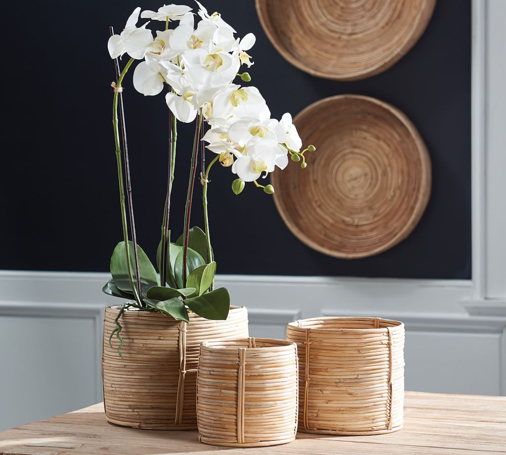 Cane Rattan Basket Sets Pottery Barn