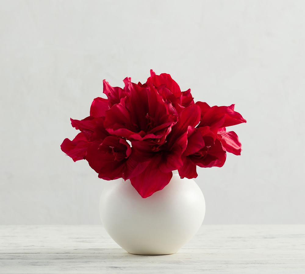 Faux Amaryllis Bouquets - Red | Pottery Barn