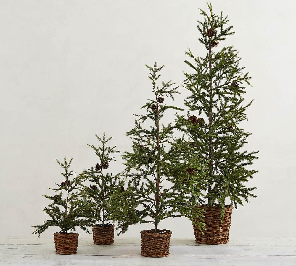 PreLit Faux Pine Trees in Baskets Pottery Barn