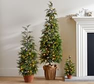 BISEN CHRISTMAS TREE 7 FT PRE LIT 200 LED LIGHT XMAS PINE DECORATION  SPRUCE NEW 