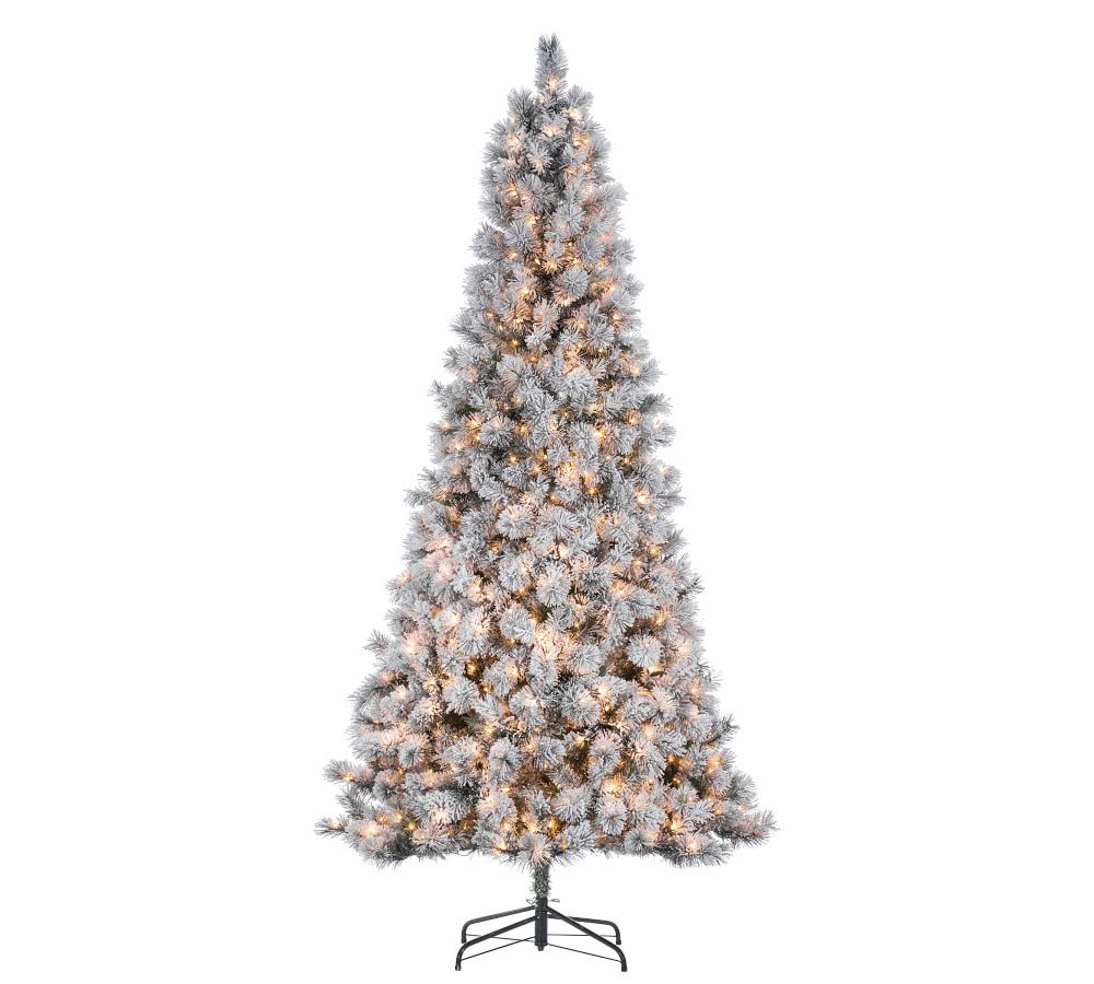 PreLit Flocked Boise Pine Faux Christmas Trees Pottery Barn