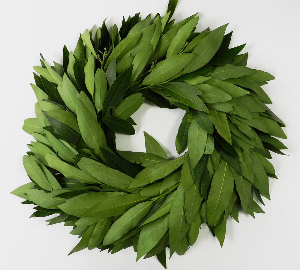 Fresh Bay Leaf Wreath Pottery Barn