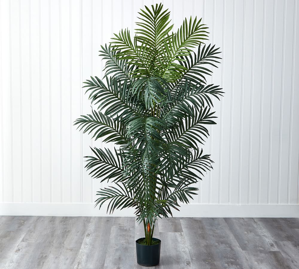 Faux Paradise Palm | Pottery Barn