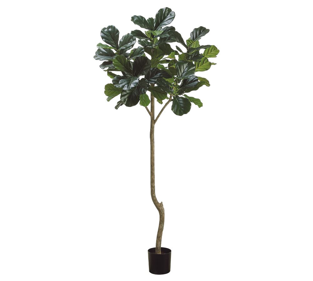 Faux Potted Fiddle Leaf Fig Tree 7' Pottery Barn