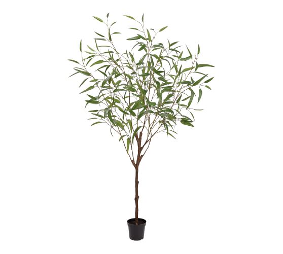 Faux Potted Eucalyptus Tree - 6'