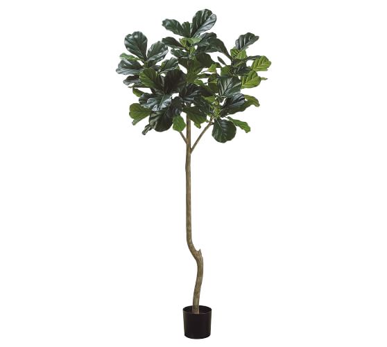 Faux Potted Fiddle Leaf Fig Tree - 7'