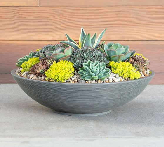 outdoor ceramic bowl planters