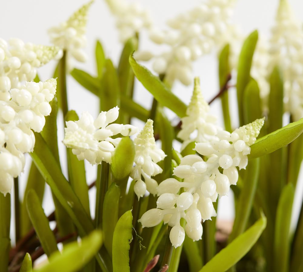 faux-white-grape-hyacinth-arrangement-pottery-barn