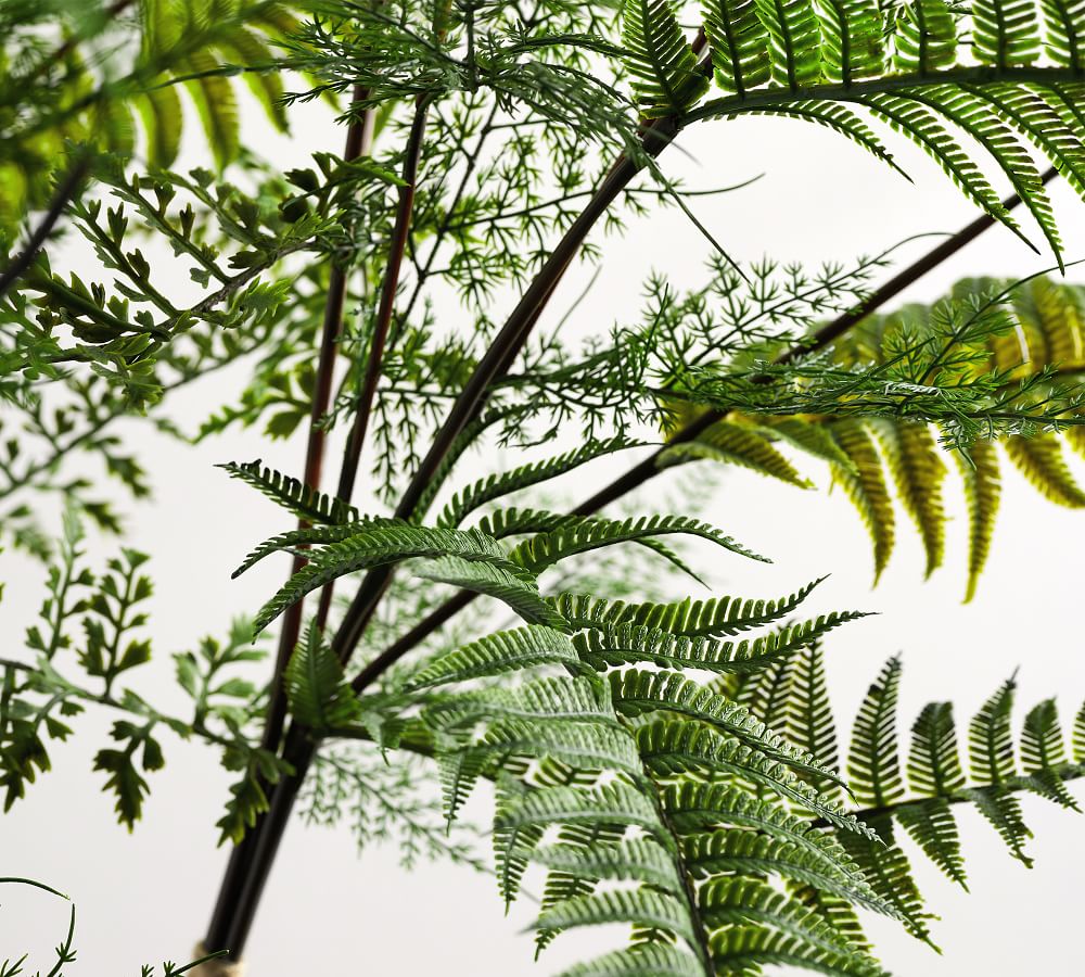 Faux Fern Bundle Pottery Barn