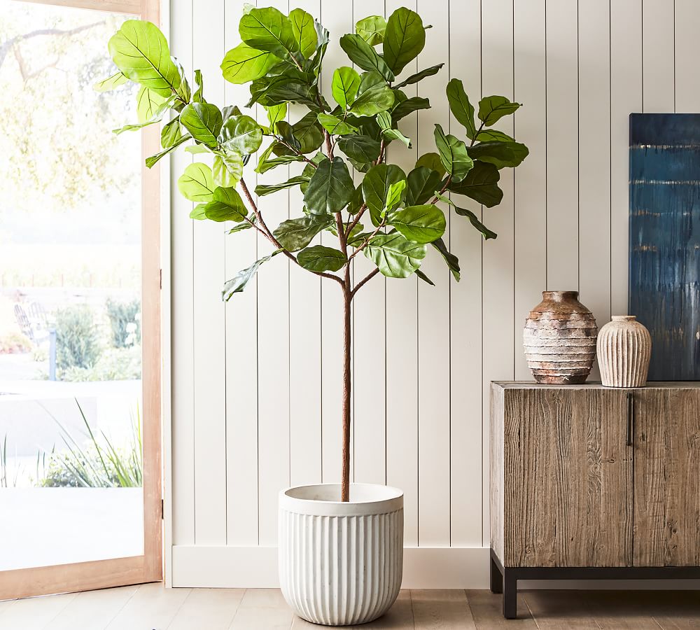 Faux Potted Fiddle Leaf Fig Trees Pottery Barn