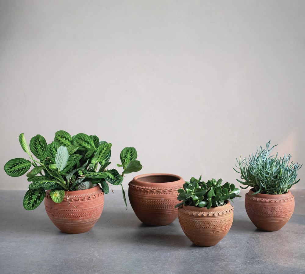 Zuma Textured Clay Pots Pottery Barn