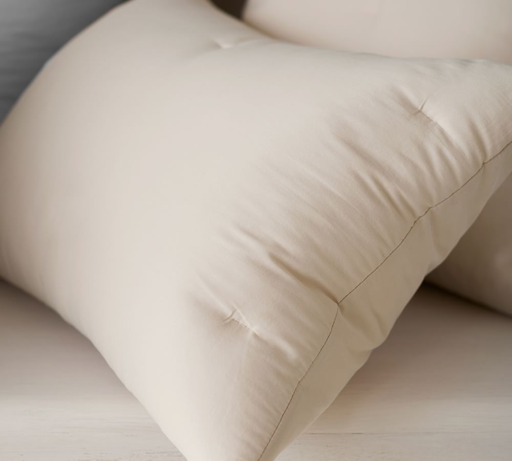 Dream Brushed Cotton Comforter Pottery Barn