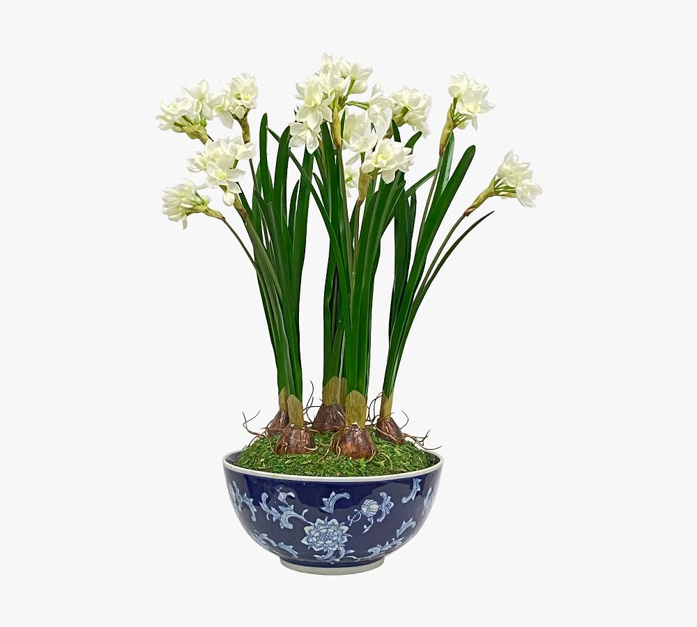 Faux Paperwhites in Procelain Bowl Pottery Barn
