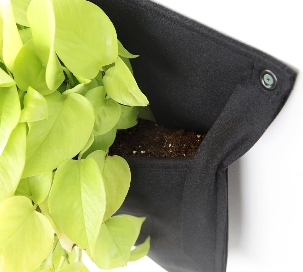 Breathable Felt Wall Hanging Plant Pocket Set of 2 Pottery Barn
