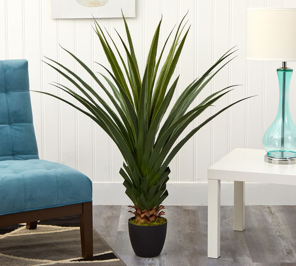 Faux Potted Spiked Agave Plant Pottery Barn