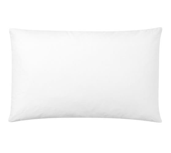 22x22 Pillow Insert Pottery Barn