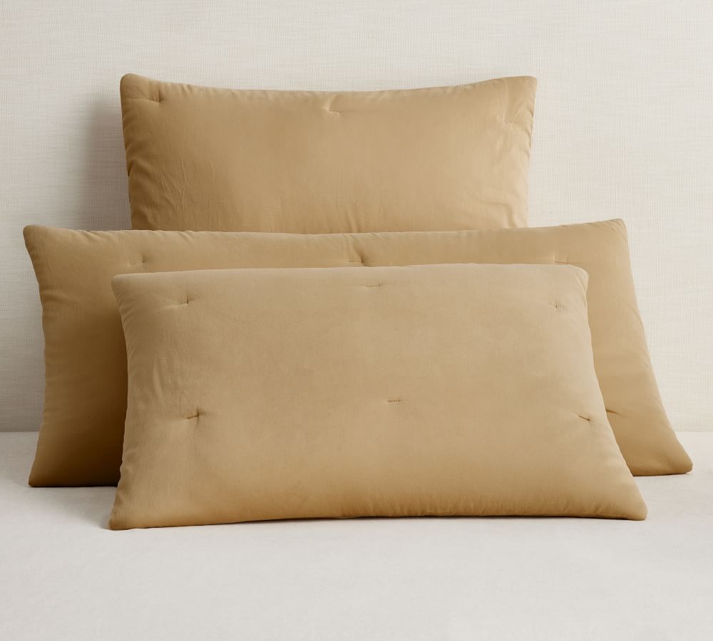 Dream Brushed Cotton Comforter Sham Pottery Barn