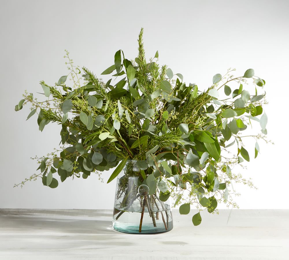 Live Bay Leaf, Eucalyptus, Rosemary Bunches Pottery Barn