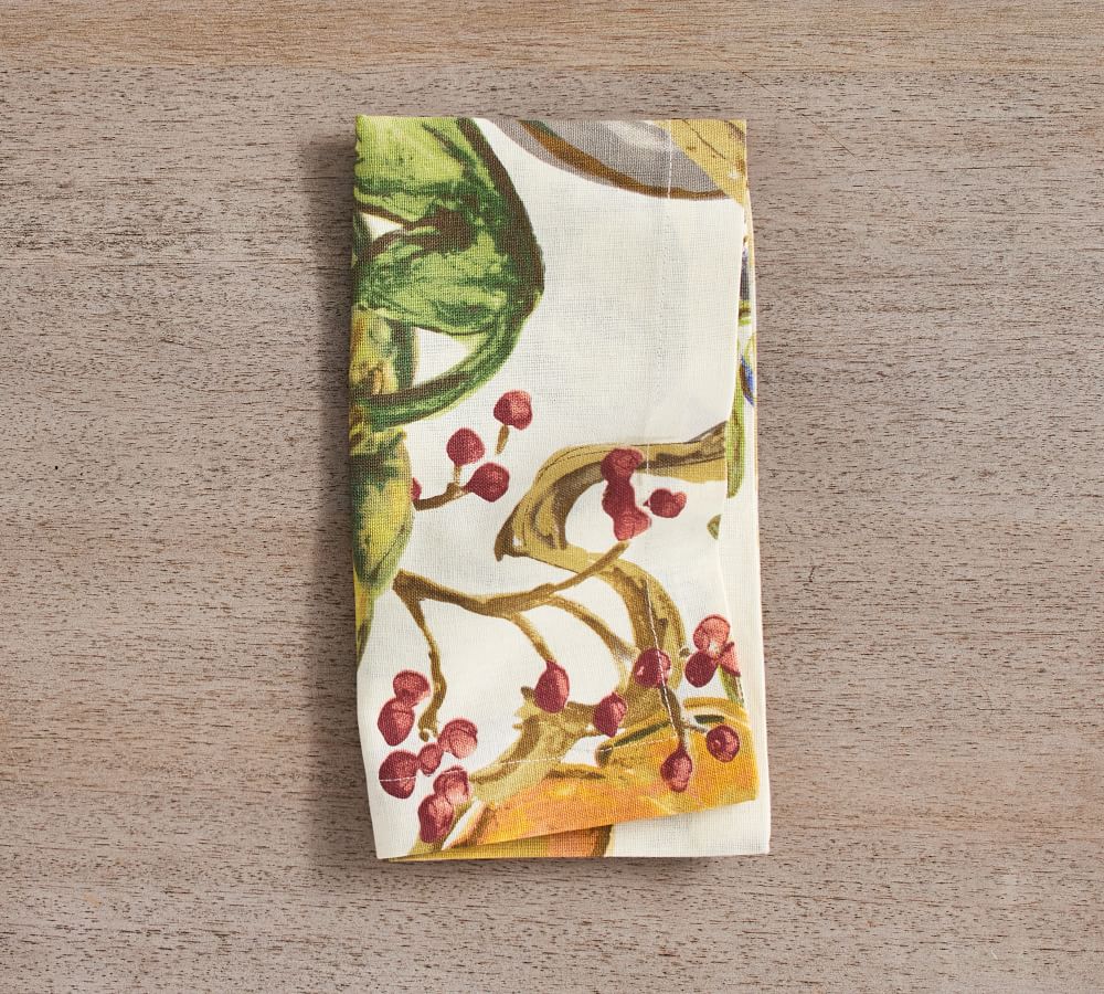 Harvest Pumpkin Linen/Cotton Napkins Set of 4 Pottery Barn