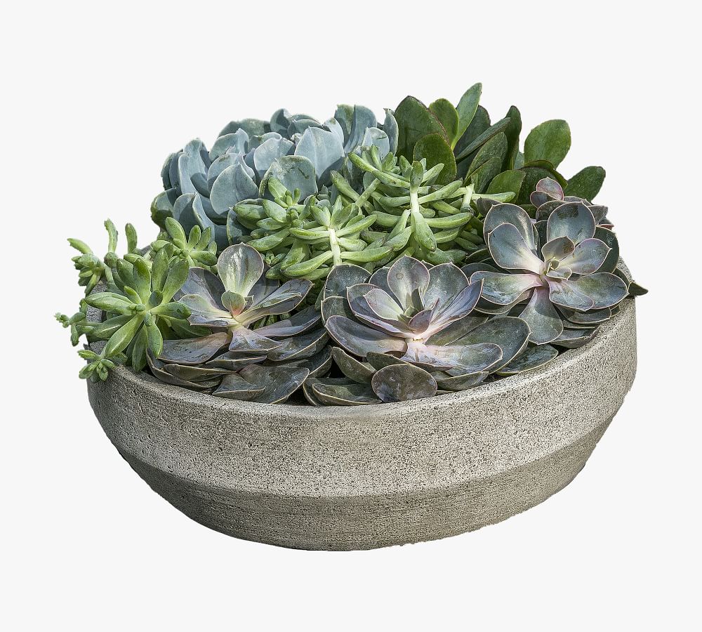 Baylee Beveled Planter | Pottery Barn