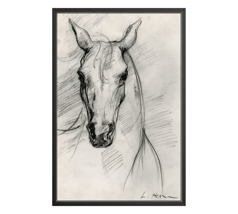 Custom Framed Print Horse Study by The Artist's Studio Pottery Barn