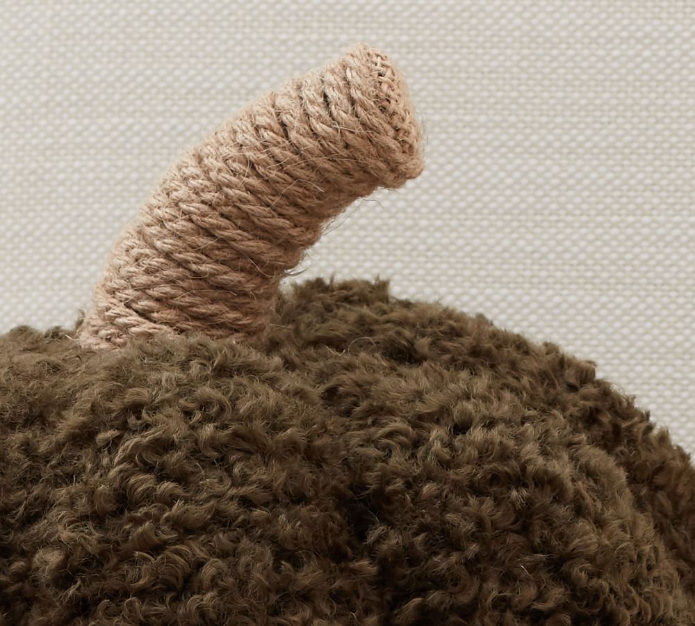 Cozy Pumpkin Pillows Pottery Barn