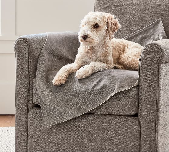 pottery barn dog chair